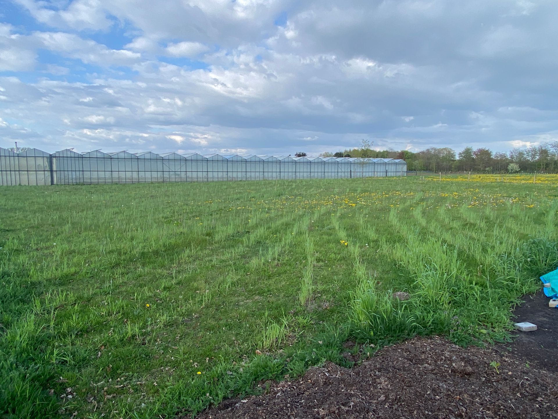 Keyline cultivation