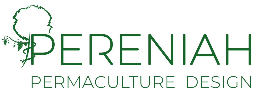 Logo Pereniah Permaculture design