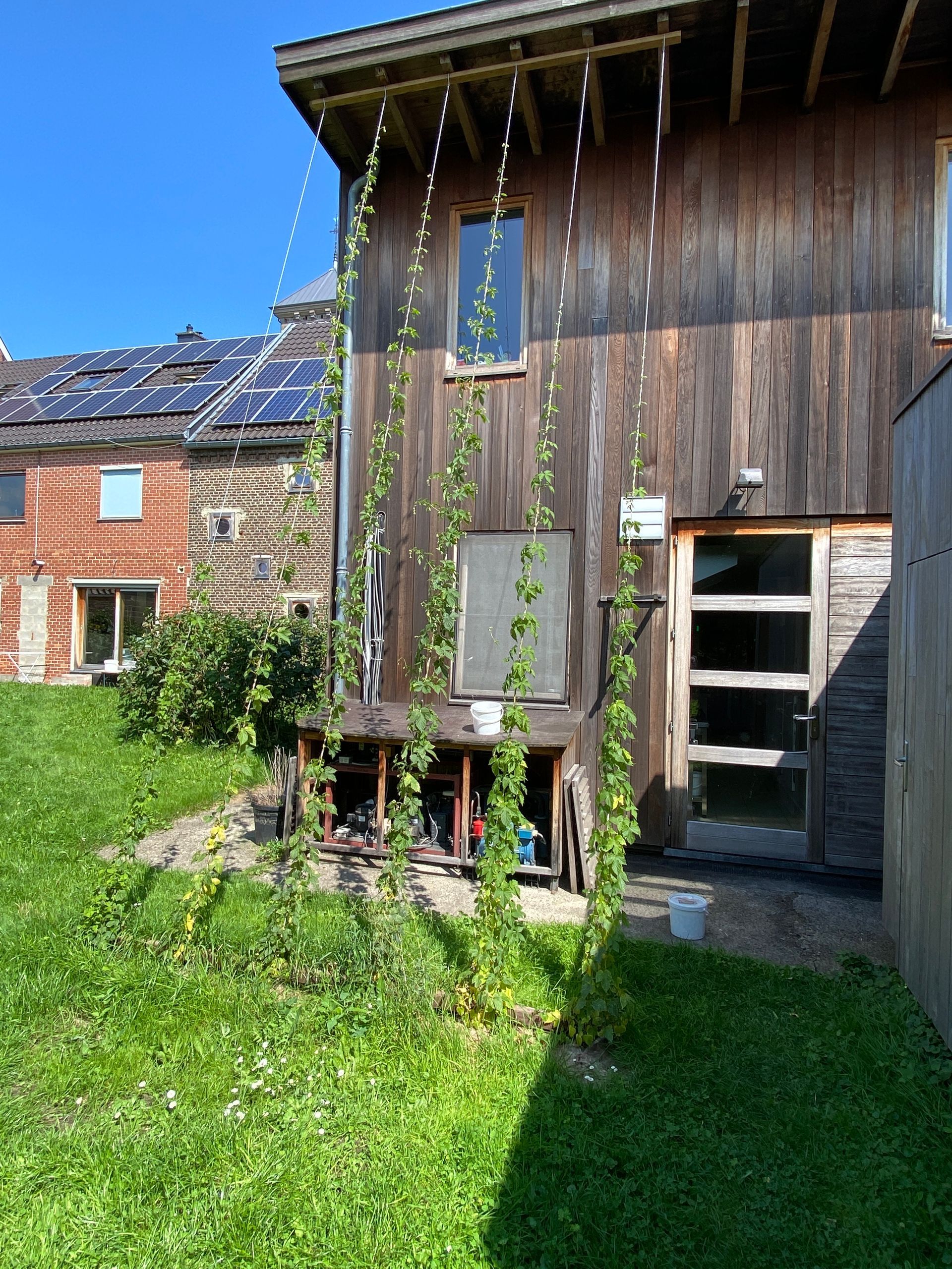 Ontwerp schaduwelement