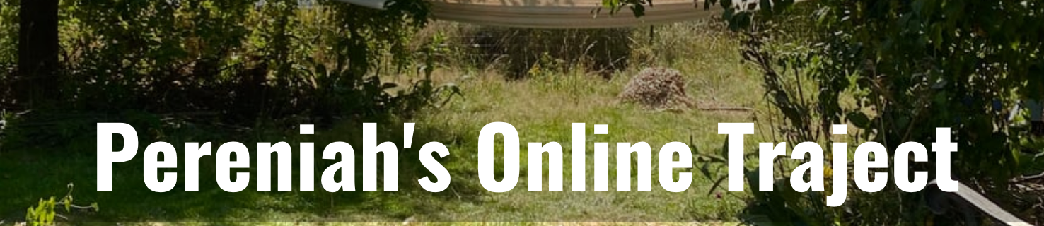 Titel Pereniah's Online Traject
