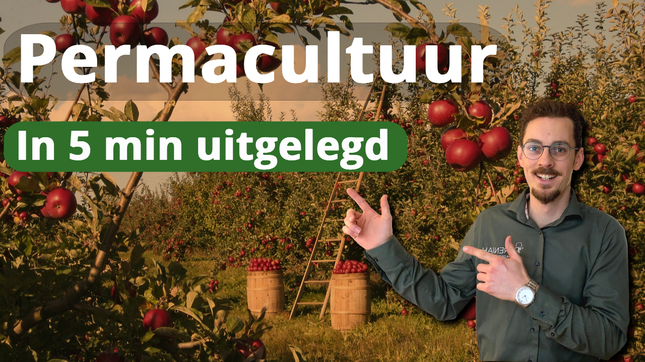 Permacultuur in 5 min uitgelegd