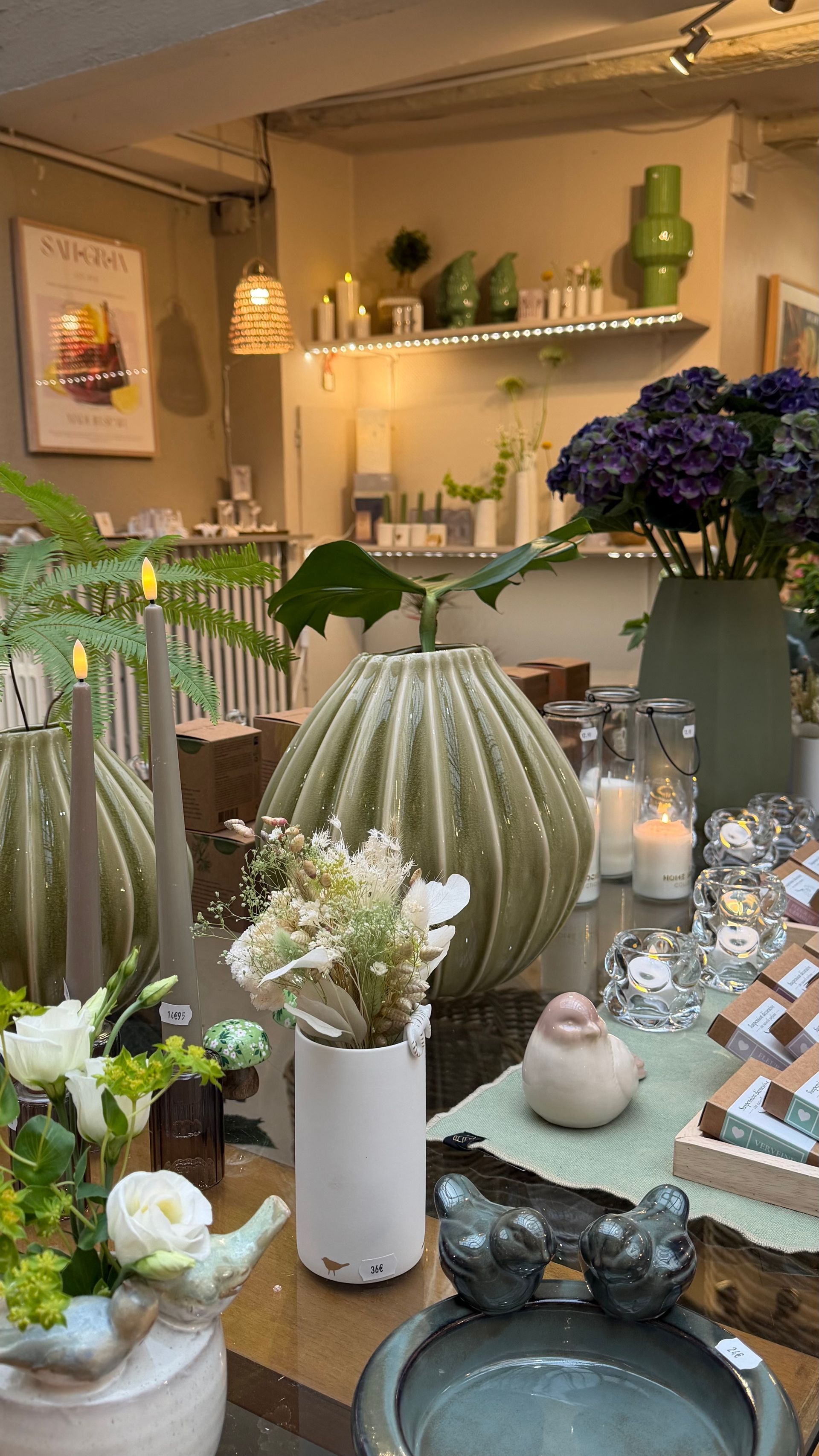 Décoration intérieure élégante avec cactus, fleurs, bougies et étagères en verre dans une pièce à l'éclairage tamisé