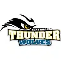 Sunny Niagara Thunder Wolves logo with a black wolf head and yellow-and-blue text