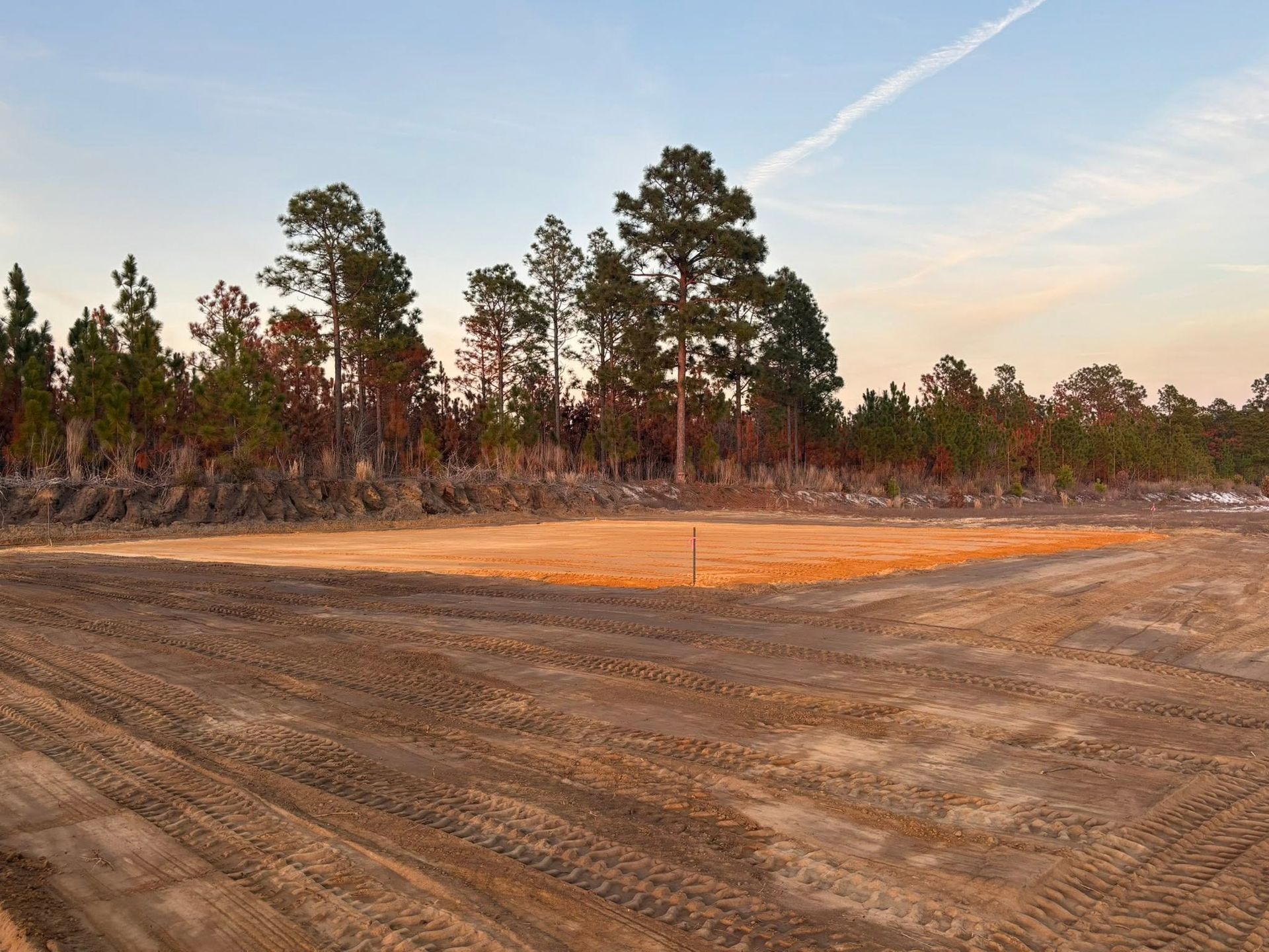 Open sandy dirt clearing beside a forest at sunset