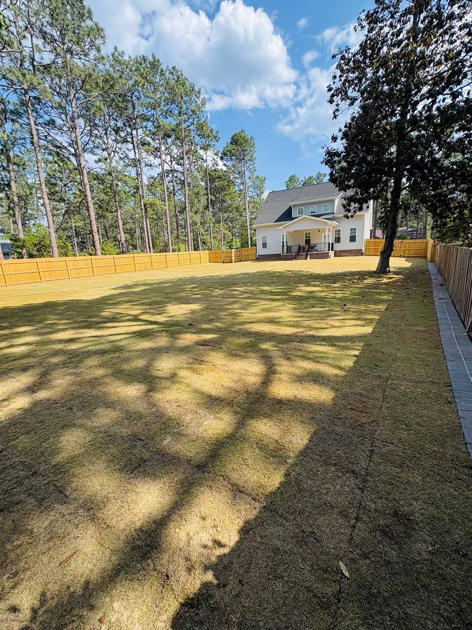 Backyard with dry grass, trees, and a white house under a clear blue sky