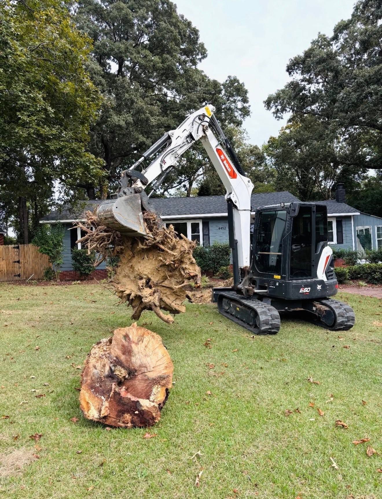 Mini excavator removing a tree stump in a yard, with a house and trees in the background.