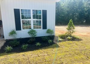White house wall with a window and black shutters, bordered by small shrubs and a sunny lawn.