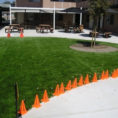 artificial grass in school lunch area