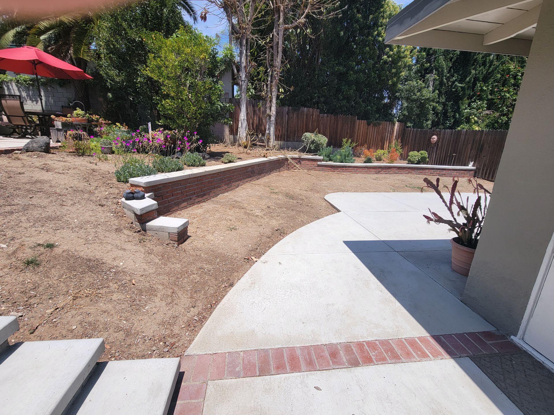 DIrt in back yard where dogs walk