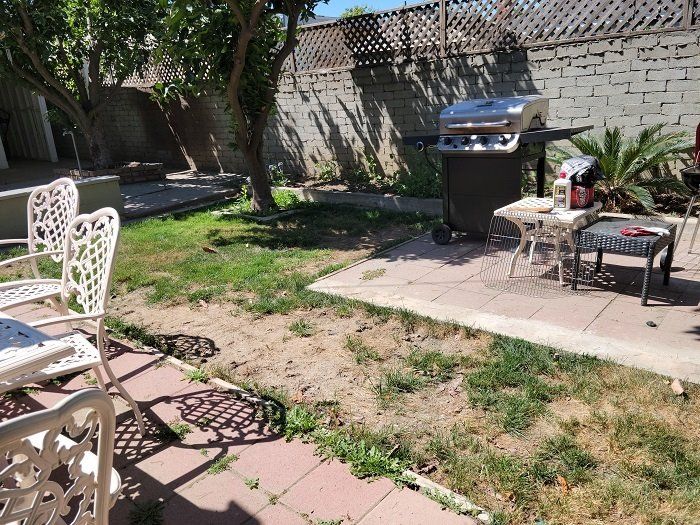 a messy back yard