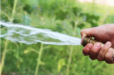 rinse your artificial grass