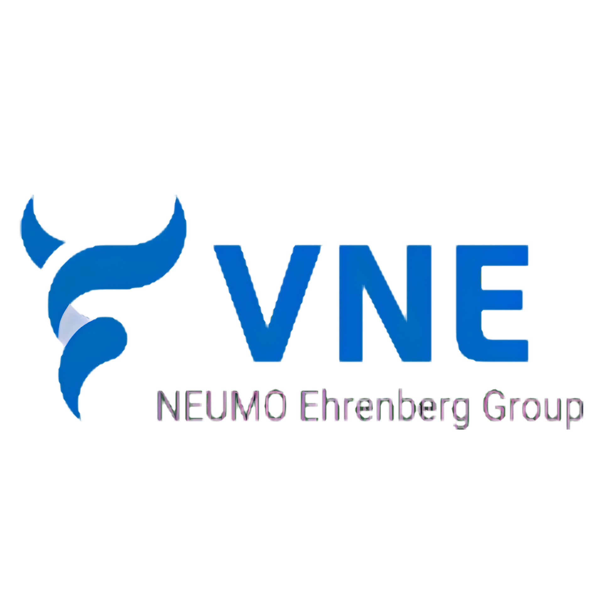 VNE logo in blue with “NEUMO Ehrenberg Group” text on white background