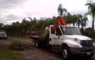 GRUAS OLIVERA