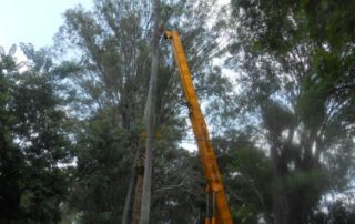 GRUAS OLIVERA