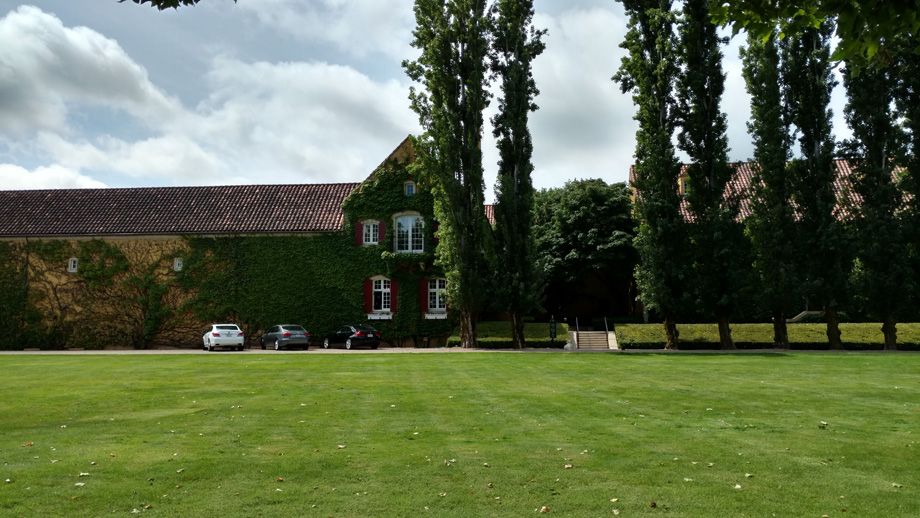 A large lawn in front of a brick building with tall trees and parked cars under a cloudy sky