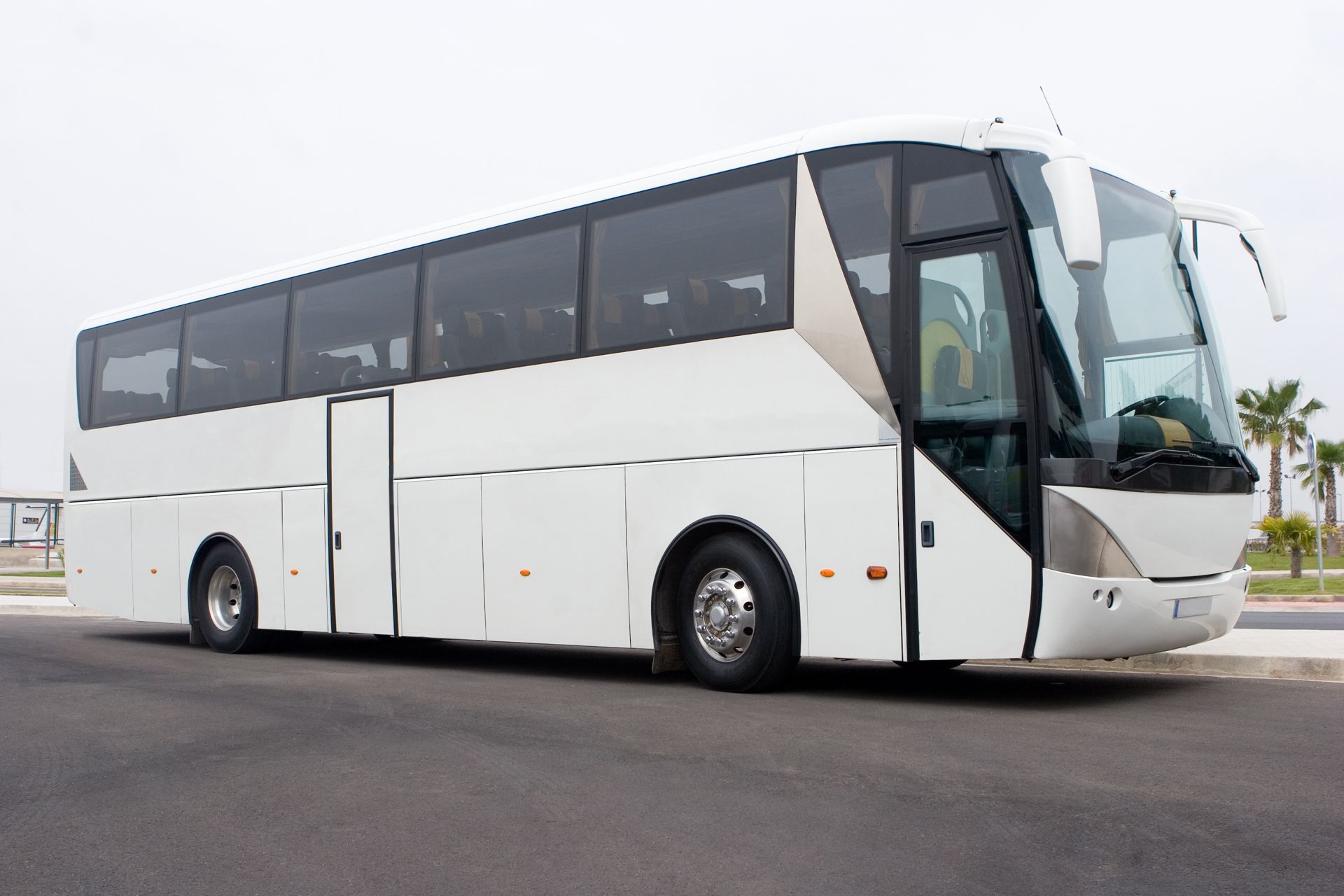 White coach bus parked on a road under a clear sky