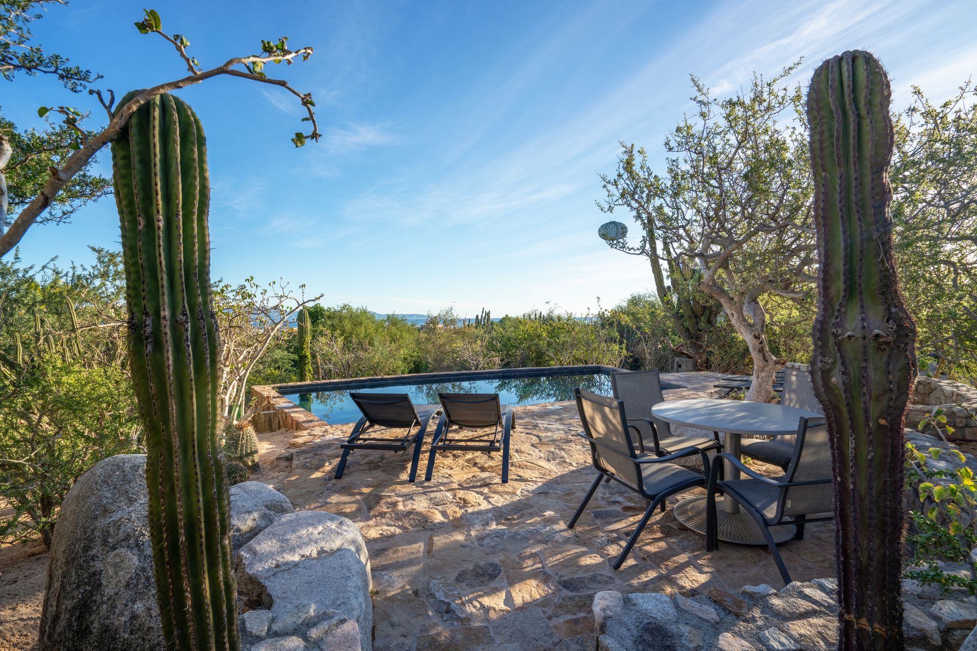 A desert patio with a small pool, two lounge chairs, and a table with chairs, framed by two tall, upright cacti.
