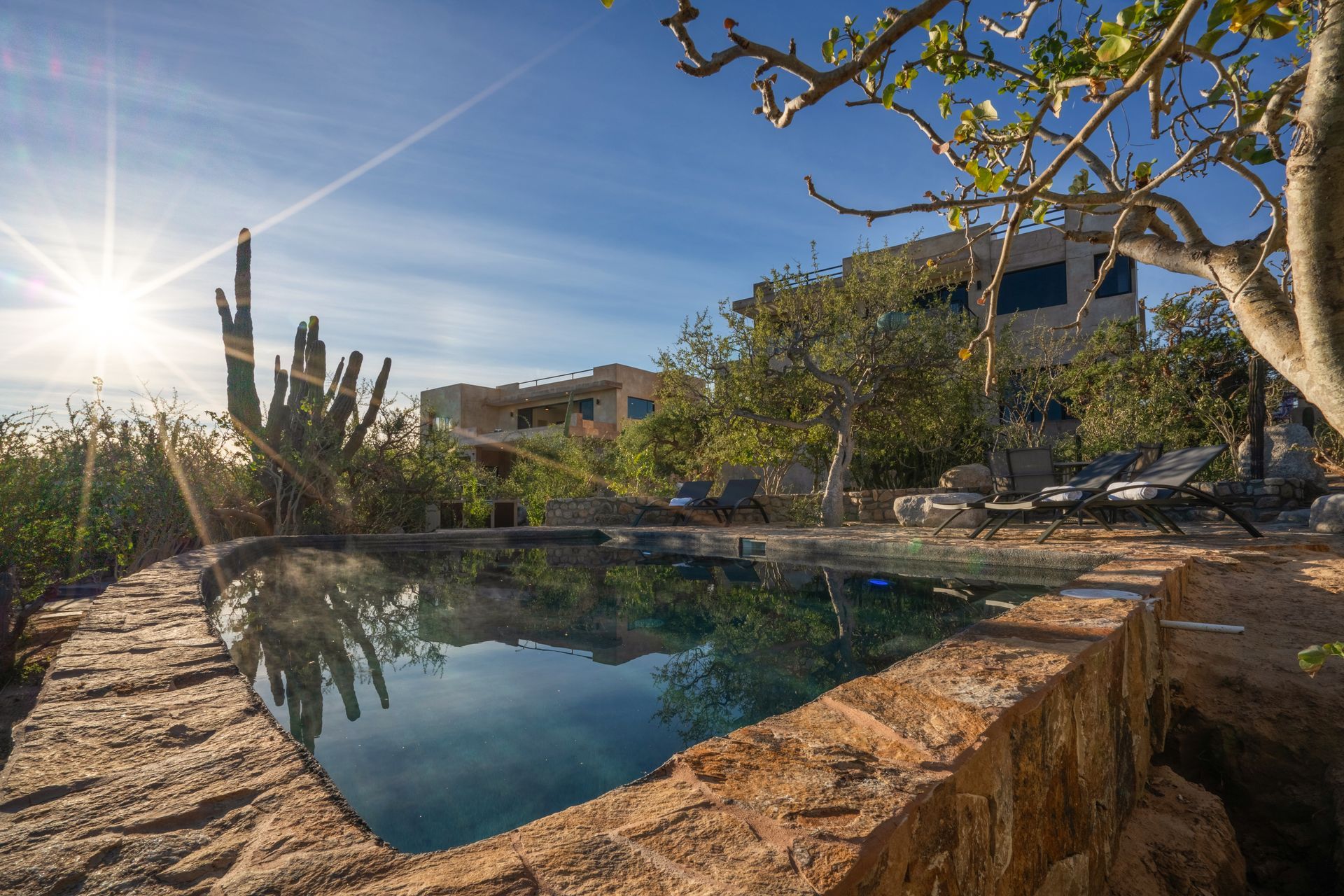 A sunlit stone swimming pool in a desert landscape with cactus and trees, backed by a building under a clear blue sky.