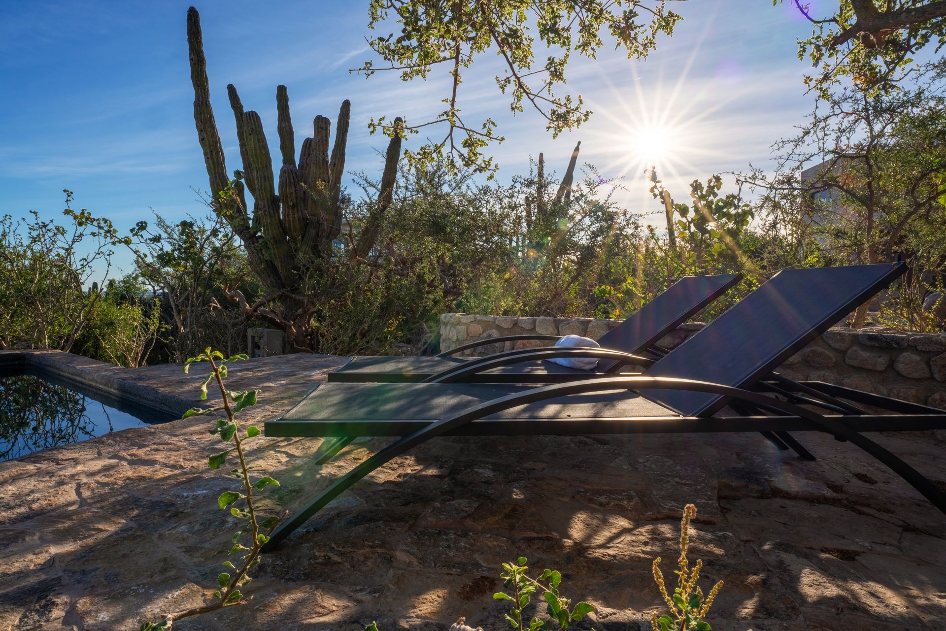 Two dark lounge chairs sit on a stone patio by a pool, surrounded by cacti and desert vegetation under a bright sun.