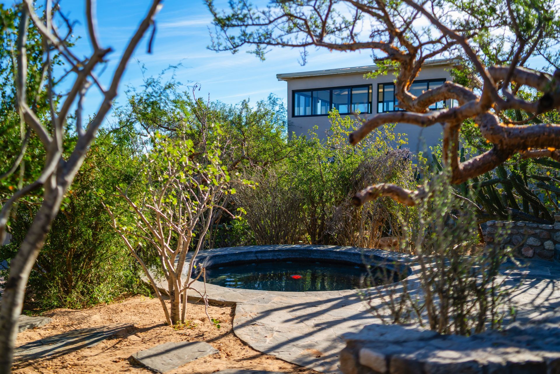 A small, circular stone pool surrounded by lush green foliage and desert trees, with a modern building in the background.