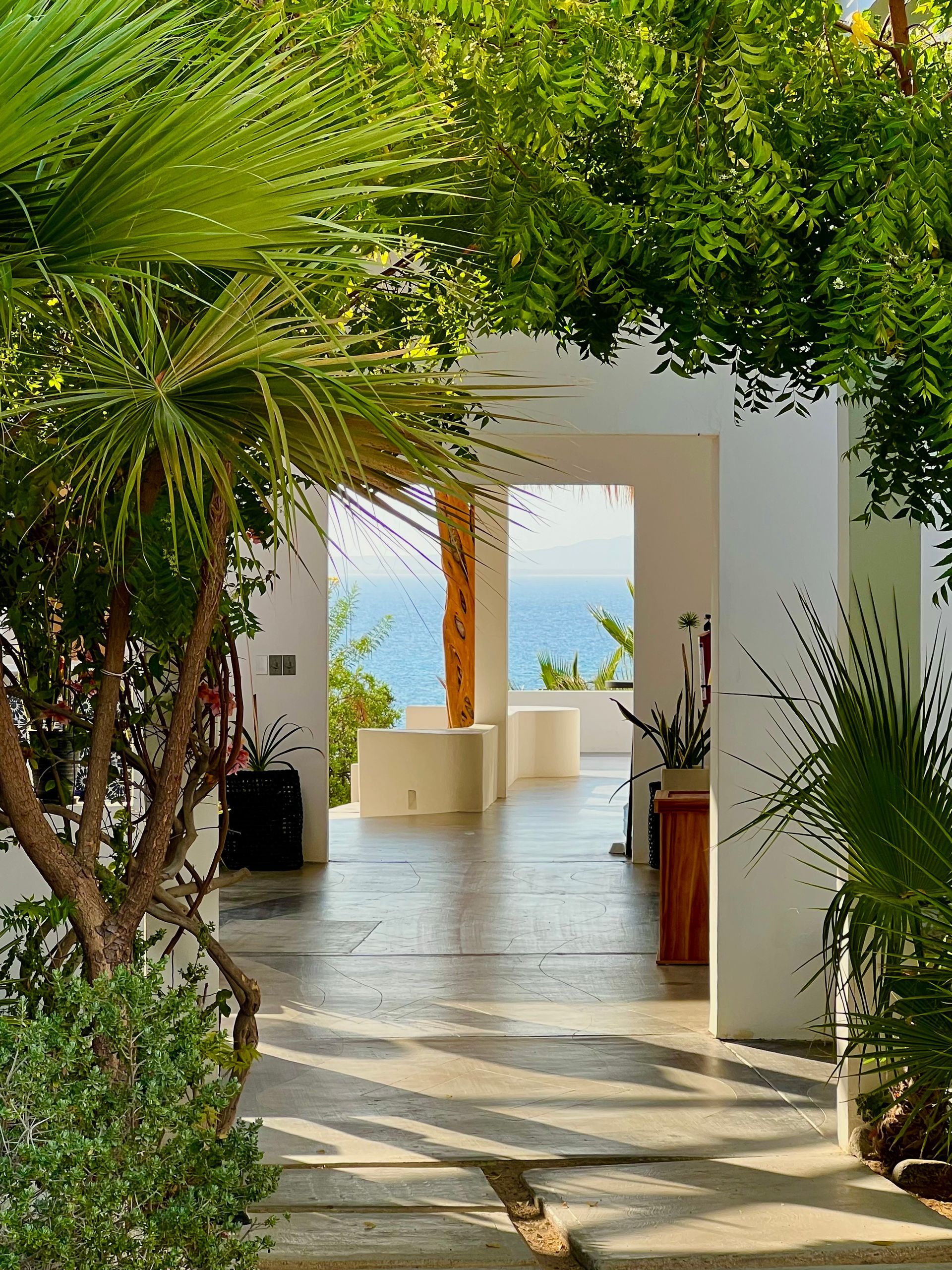 A view through a white stucco archway framed by lush green palm trees, leading to a sunny terrace overlooking the ocean.