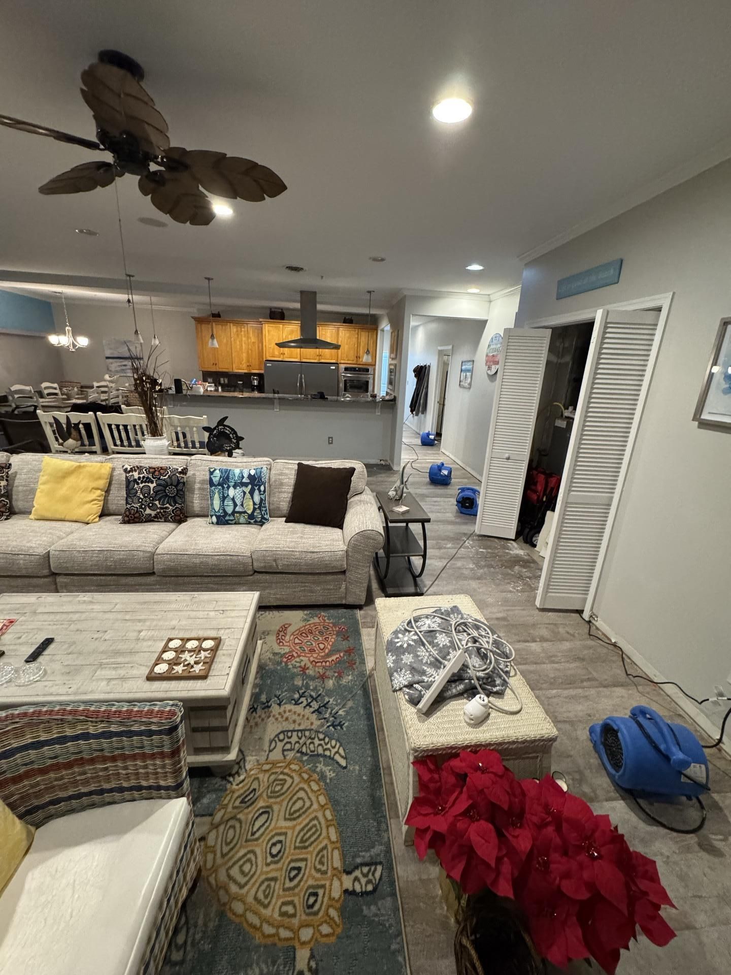 Living room with furniture, a tropical-print rug, red poinsettias, and blue industrial fans used for flood cleanup.