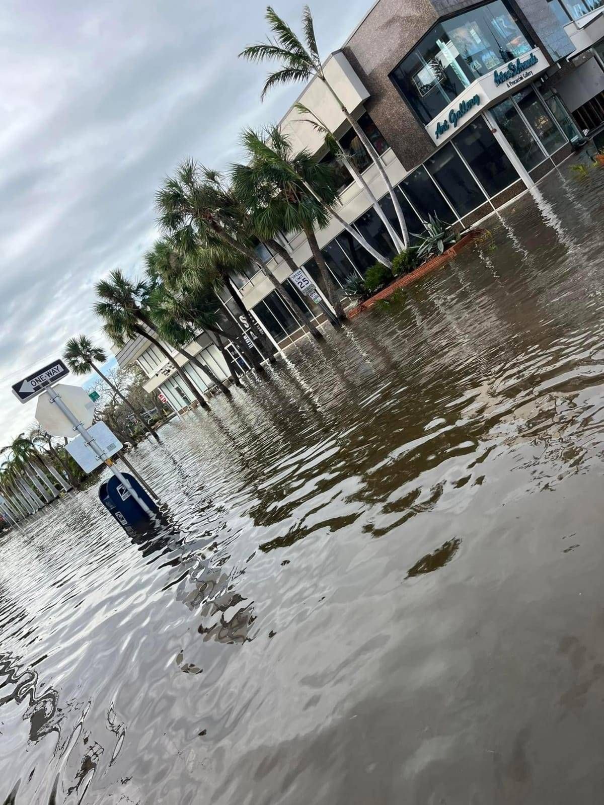 Flooded city street with a partially submerged mailbox, palm trees, and a commercial building in the background.