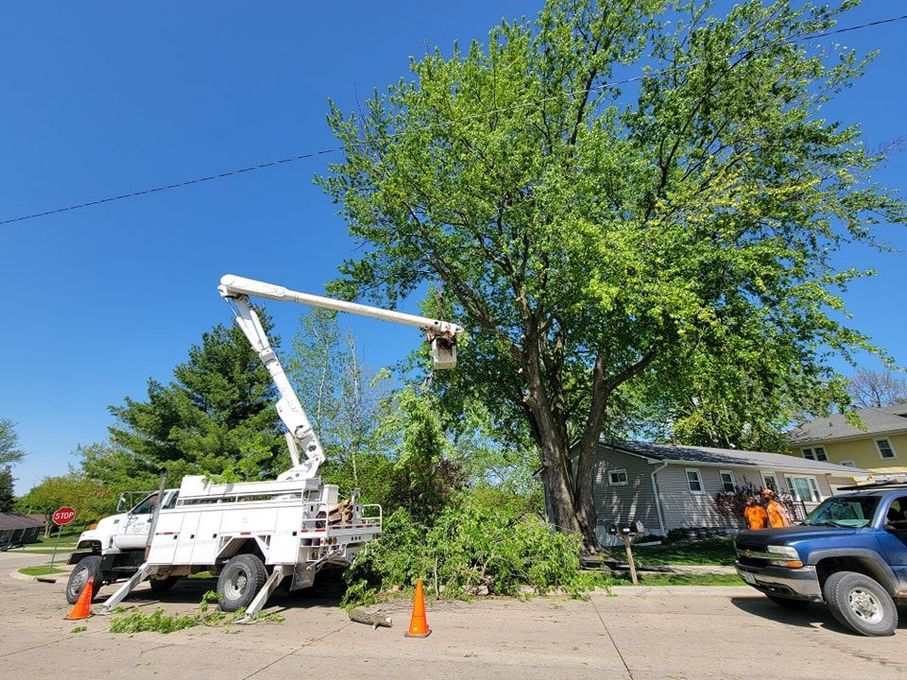 Utility truck trimming a tree beside a house on a sunny street, with orange cones marking the work area.