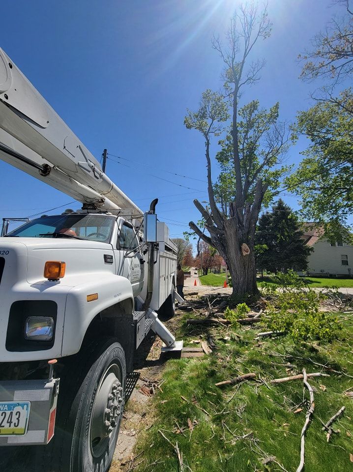 Utility truck trimming a large tree beside a house on a sunny residential street.