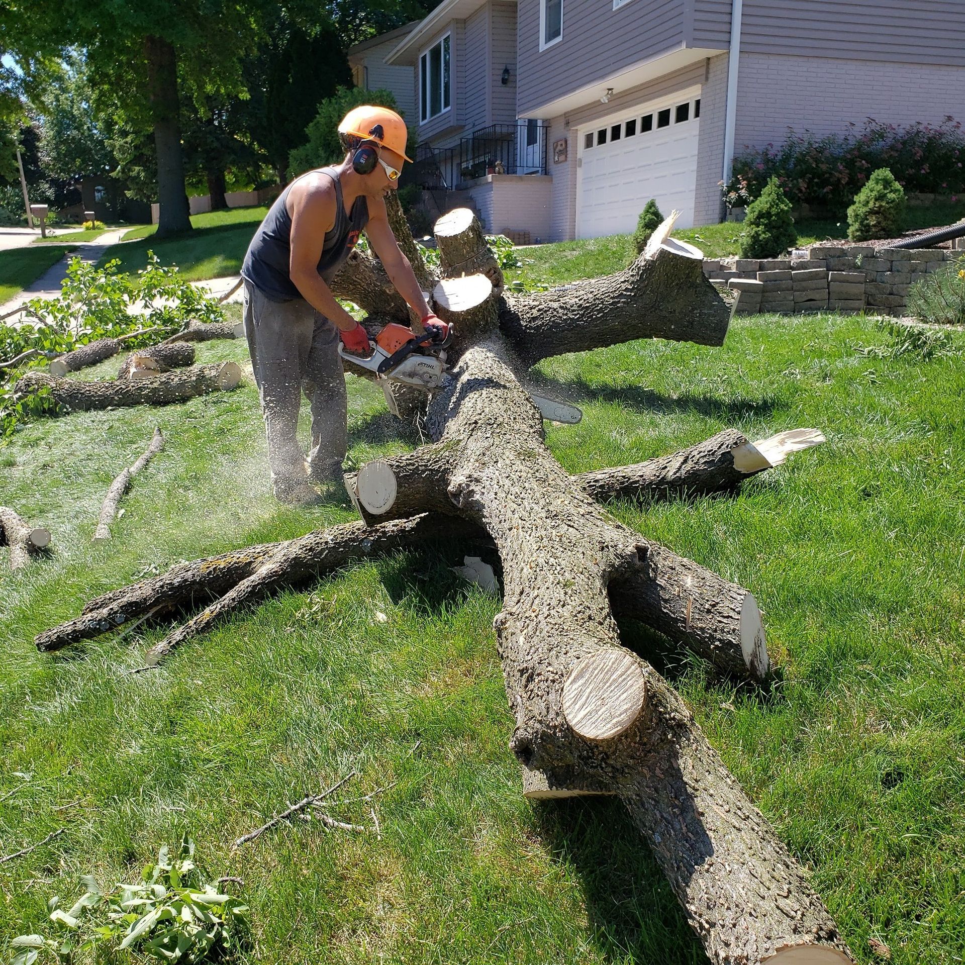 Worker in orange helmet cutting a fallen tree trunk in a grassy yard with a chainsaw