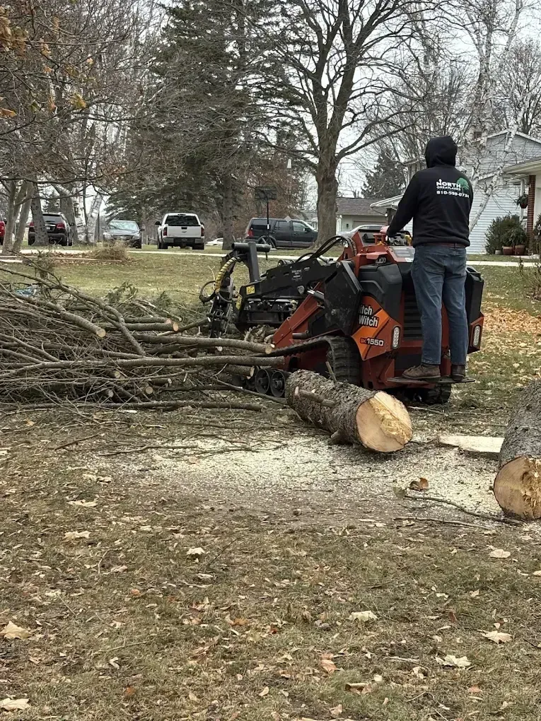 Worker operates a skid steer to clear tree limbs in a leaf-covered yard.