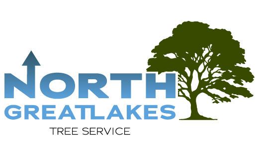 North Great Lakes Tree Service logo with blue text and a green tree silhouette