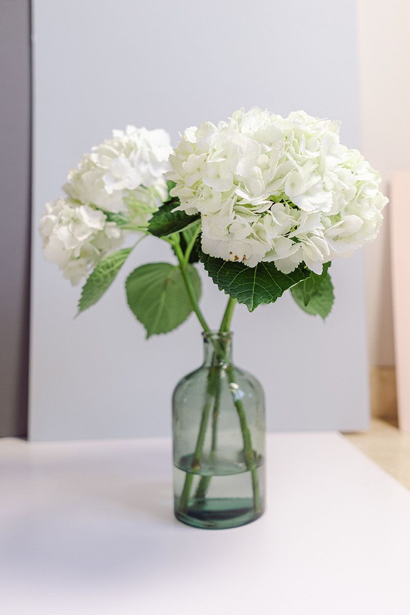 Send Flowers