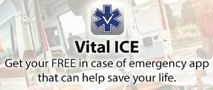 Vital Ice Logo