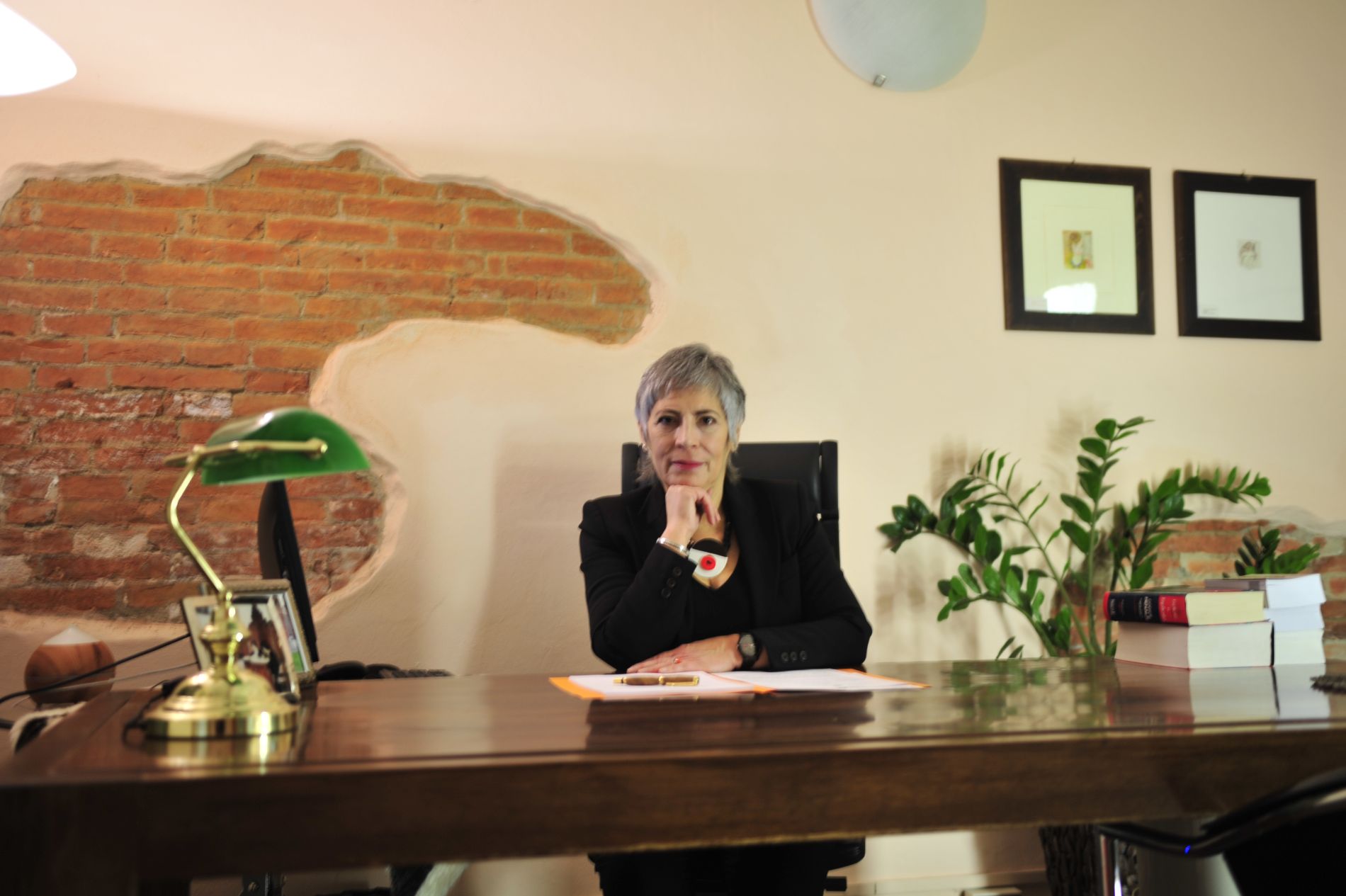 I professionisti