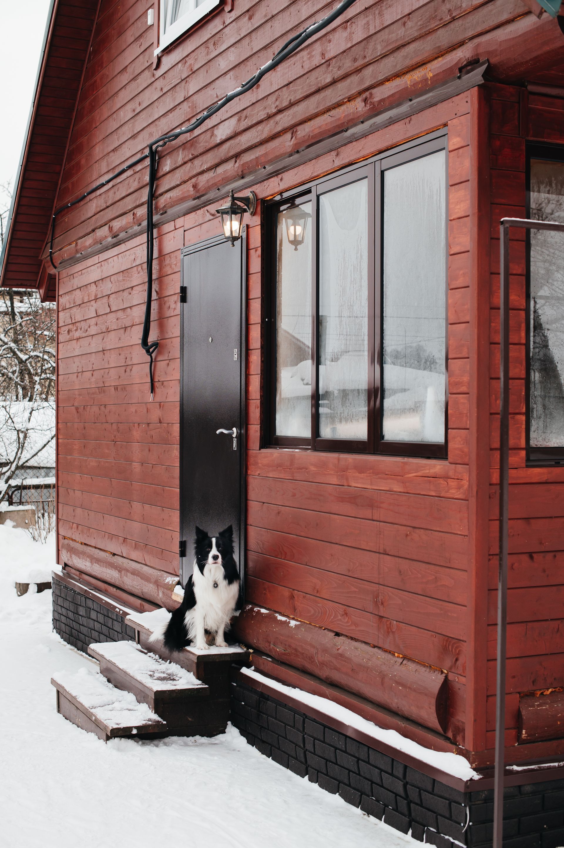 Snowy porch of a red wooden house with a black-and-white cat sitting by the door