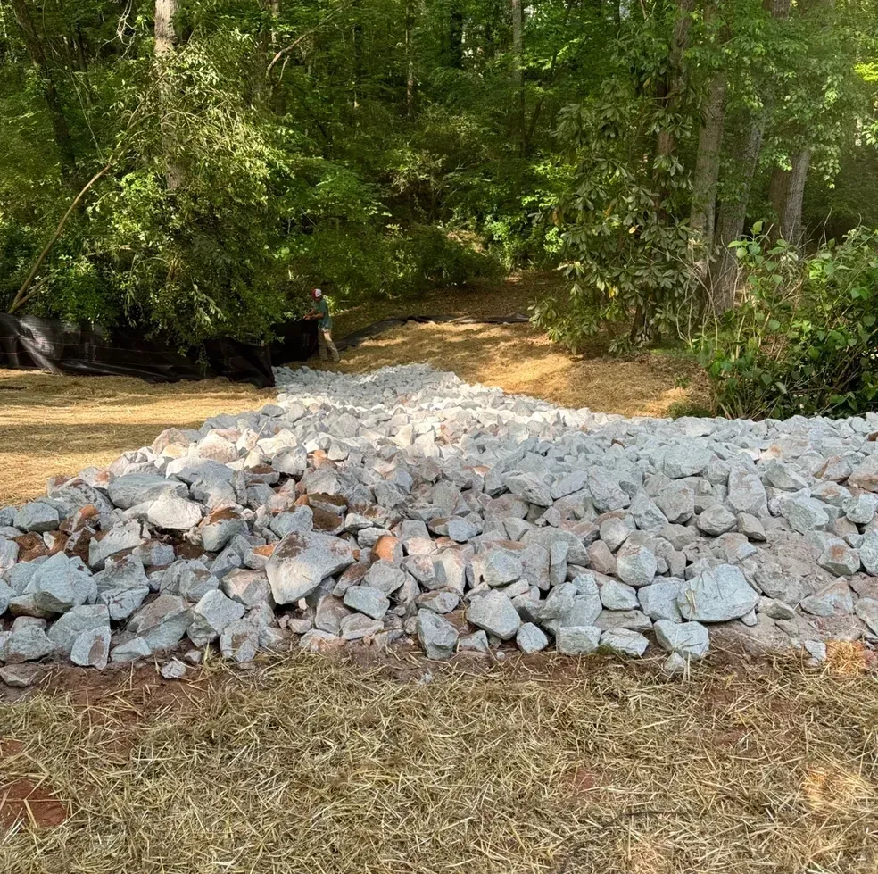 Pile of gray rocks beside a wooded creek in a forest clearing