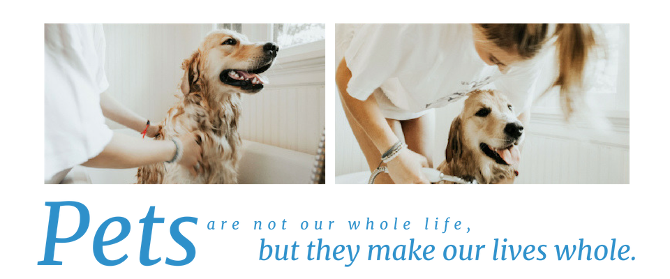 Two wet dogs being dried by people, with text: “Pets are not our whole life, but they make our lives whole.”