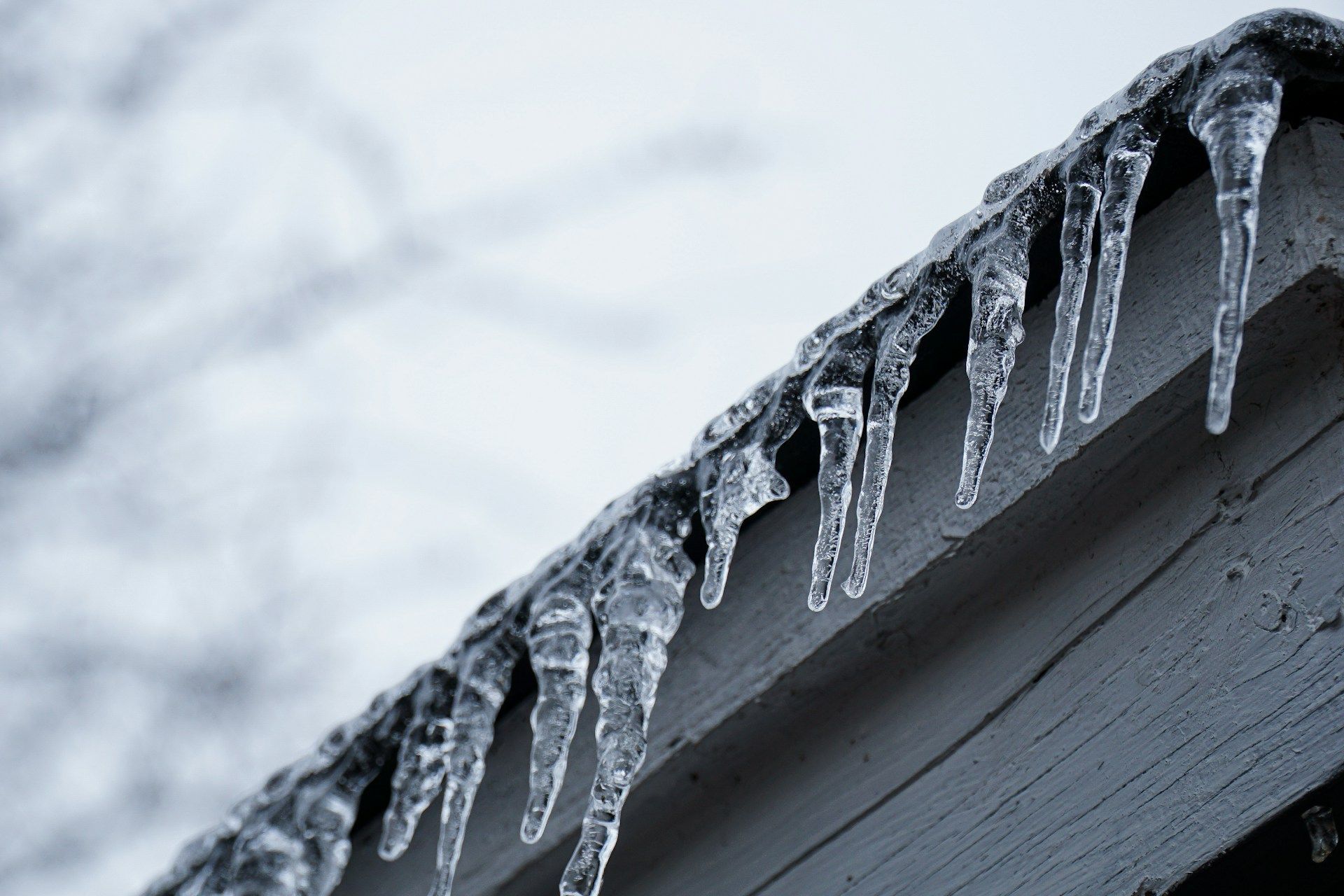 winter storm