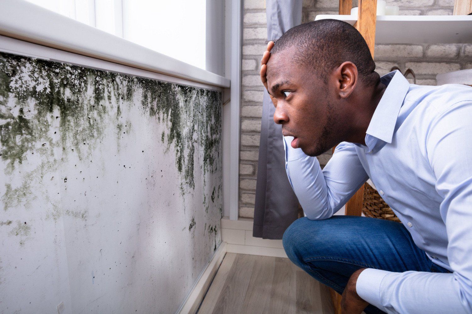 Mold Remediation
