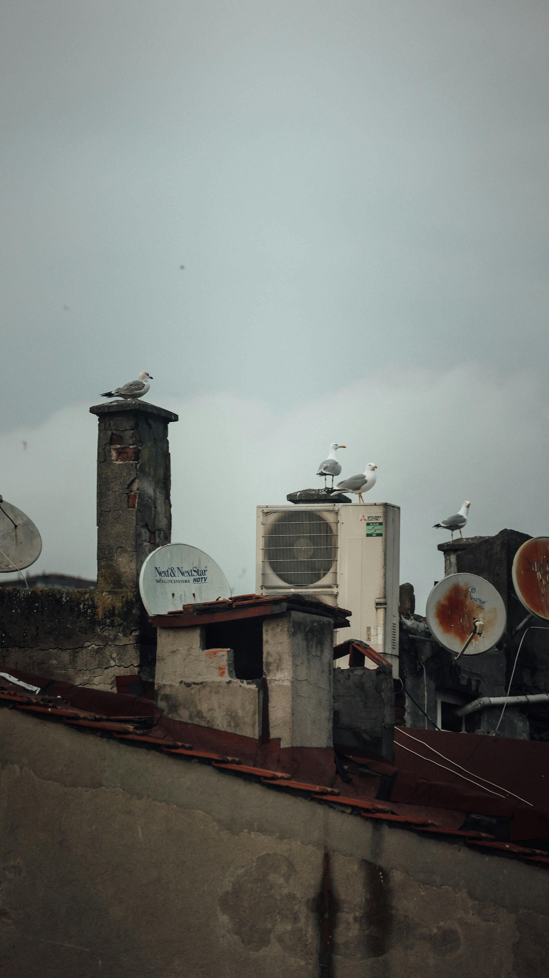 Rainy rooftop with chimneys, satellite dishes, and an air conditioner under a gray sky