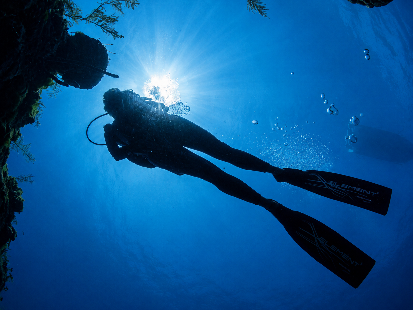 Divemaster