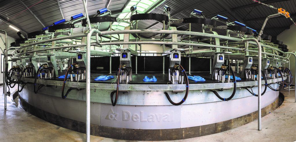 Automatic Cow Milking Using a Milking Machine — Services for Milking Systems & Dairy Farming on the Mid North Coast, NSW