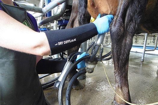 Dry Cuffs - Keep your forearms warm, dry and protected!
