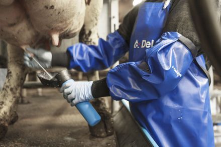 DeLaval blue milking sleeves