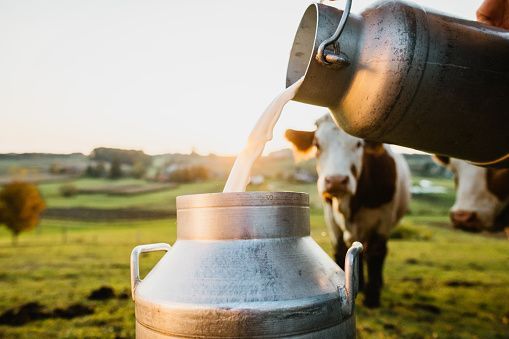 Milk Filtration