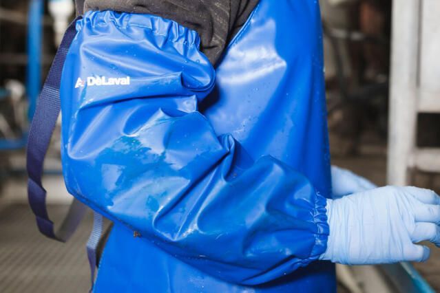 DeLaval blue milking sleeves