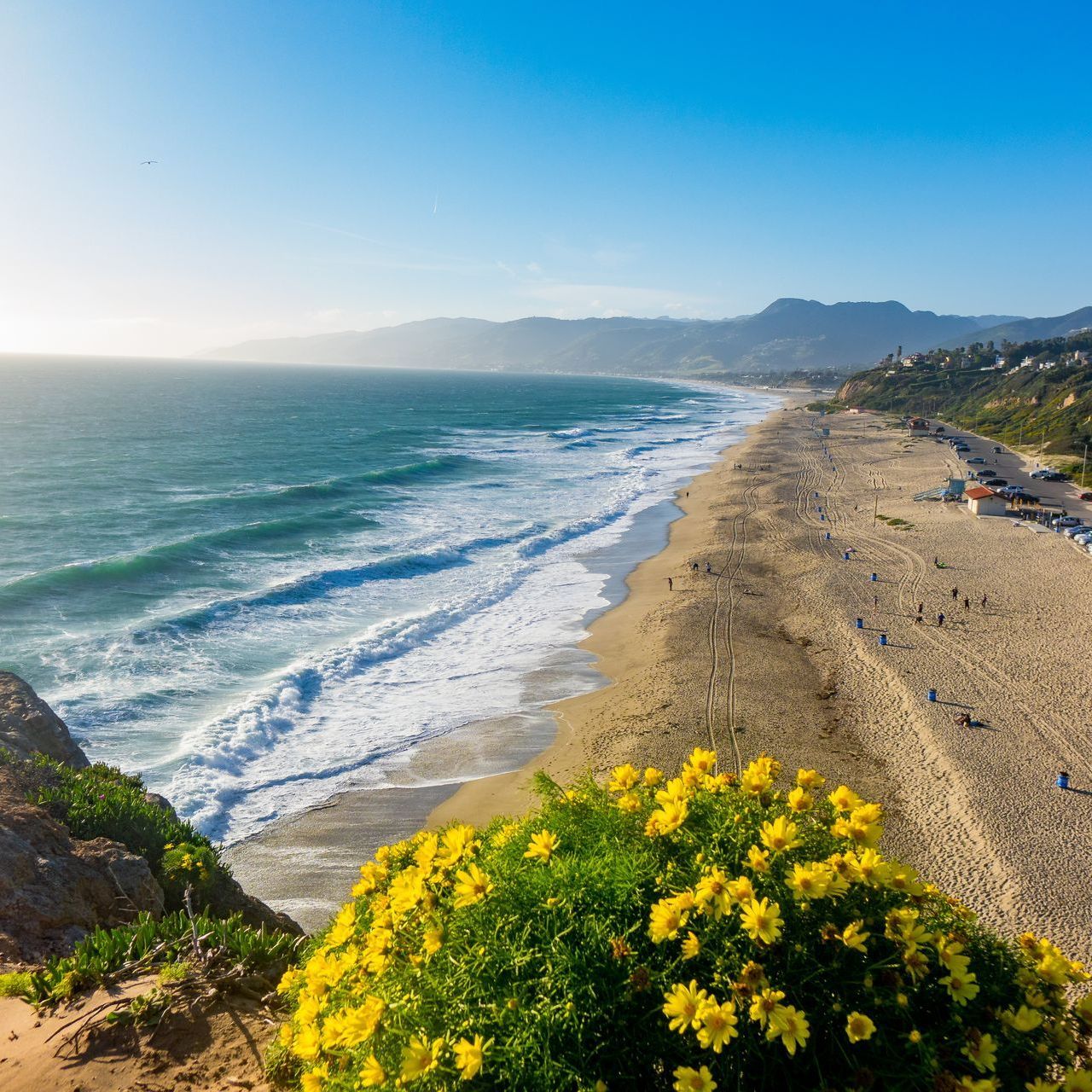 An aerial view of a beach with yellow flowers in the foreground