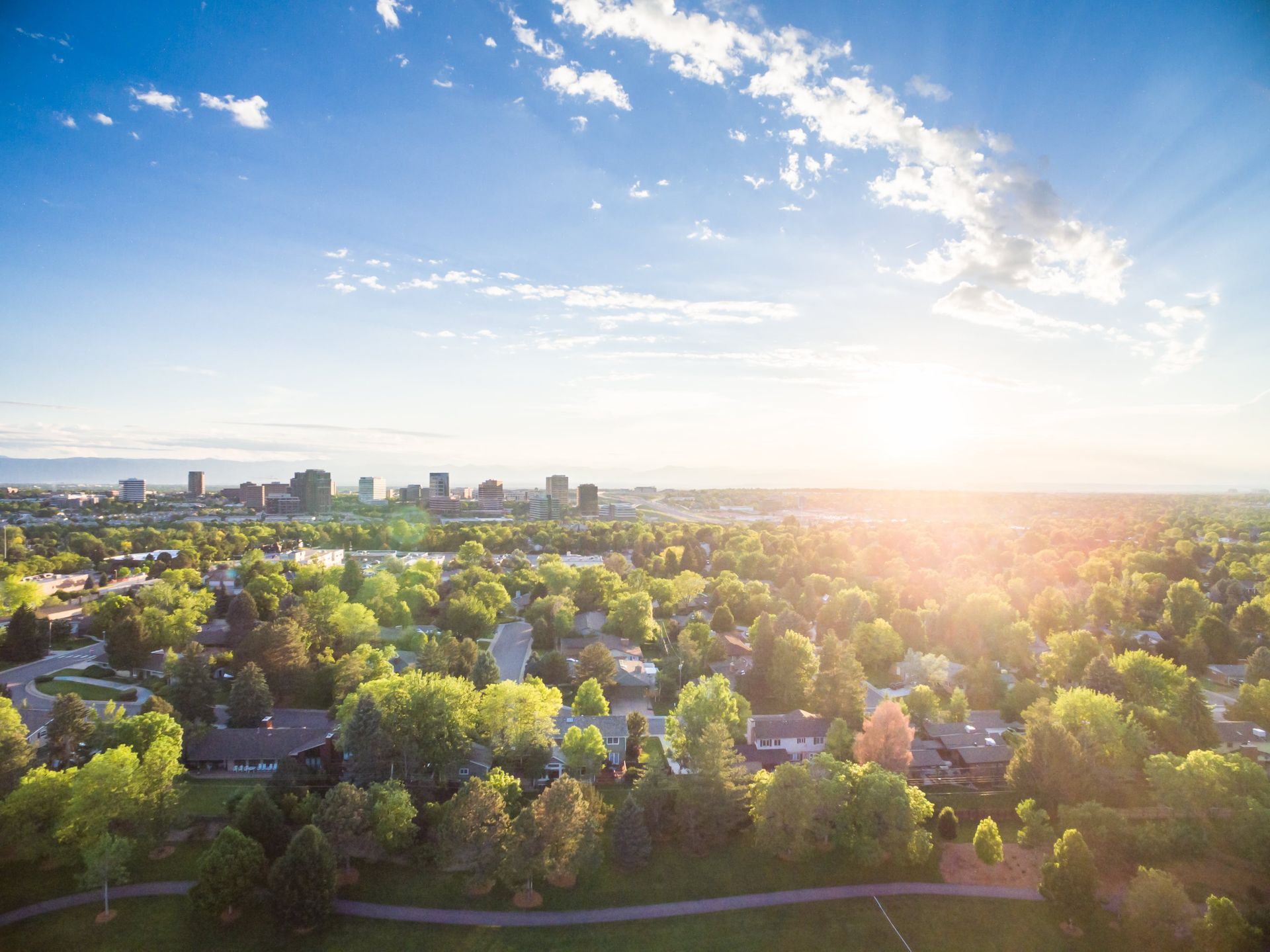 An aerial view of a residential area with trees and a city in the background.