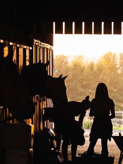 A woman standing next to a horse in a barn
